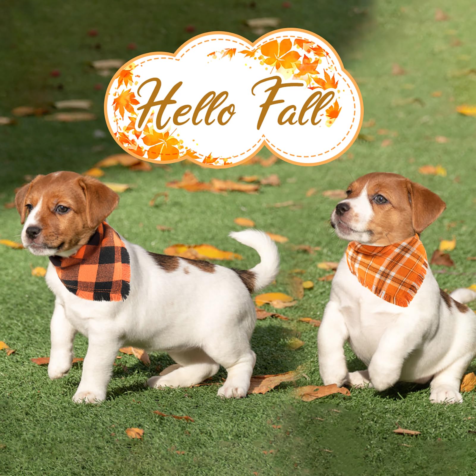 Kytely reversible triangle bib bandana showcases versatile orange plaid styling.