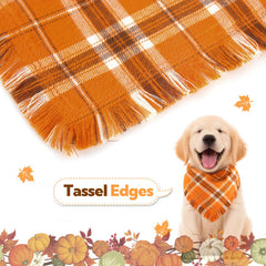 Kytely small-size bandana worn by small dogs promoting comfortable fit.