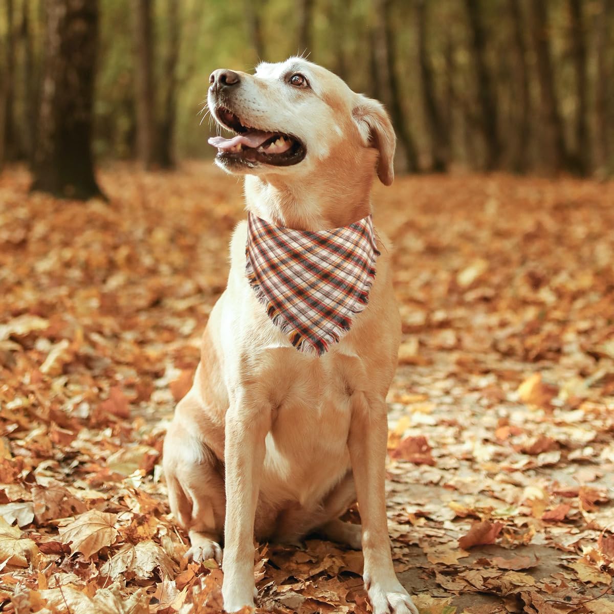 Kytely tassel-edged plaid bandana adds charming detail to daily wear