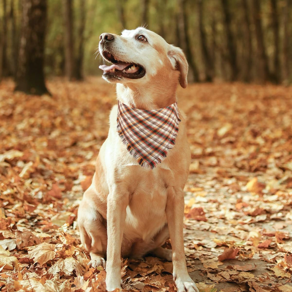 Kytely tassel-edged plaid bandana adds charming detail to daily wear