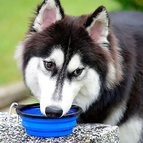 Kytely travel clasp feature keeps bowls secure during walks and hikes.
