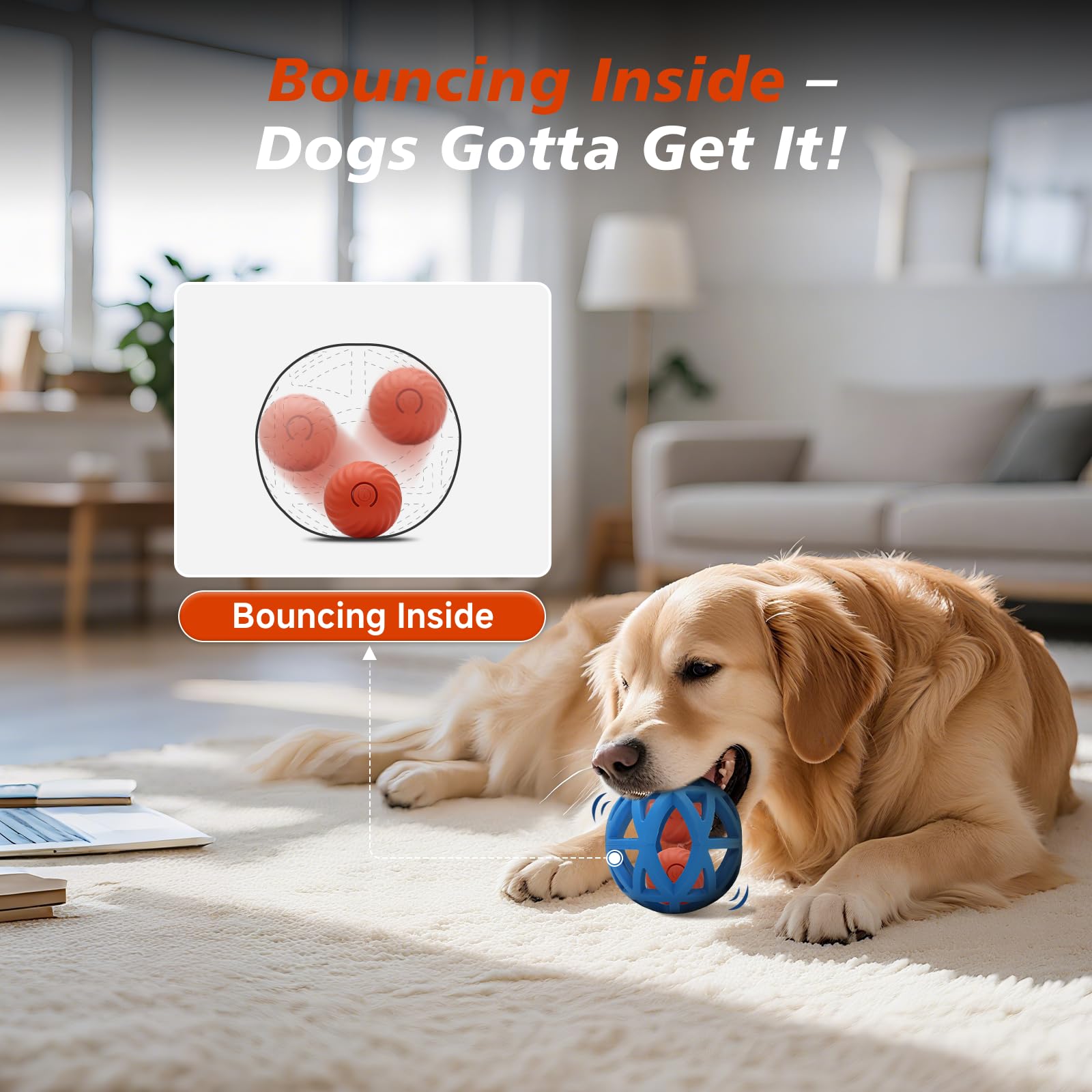 Kytujoy ball-in-ball toy in action prompts chasing and engagement for medium to large dogs.