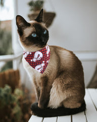 KZHAREEN cotton bandana detail on Christmas collar for cute look