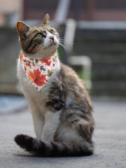 KZHAREEN fall-cat-collar-bandana-bell-4 presents soft cotton bandana texture for autumn styling