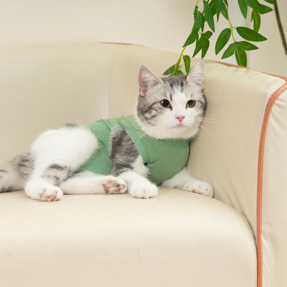 kzrfojy mono de recuperación para gatos, permite comer y jugar con comodidad