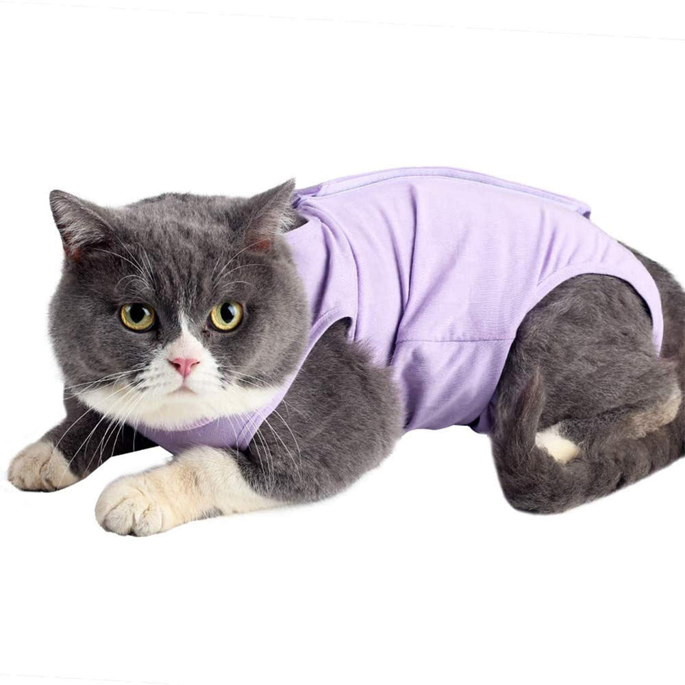 kzrfojy cat surgery recovery suit front view in purple-m for post-op comfort