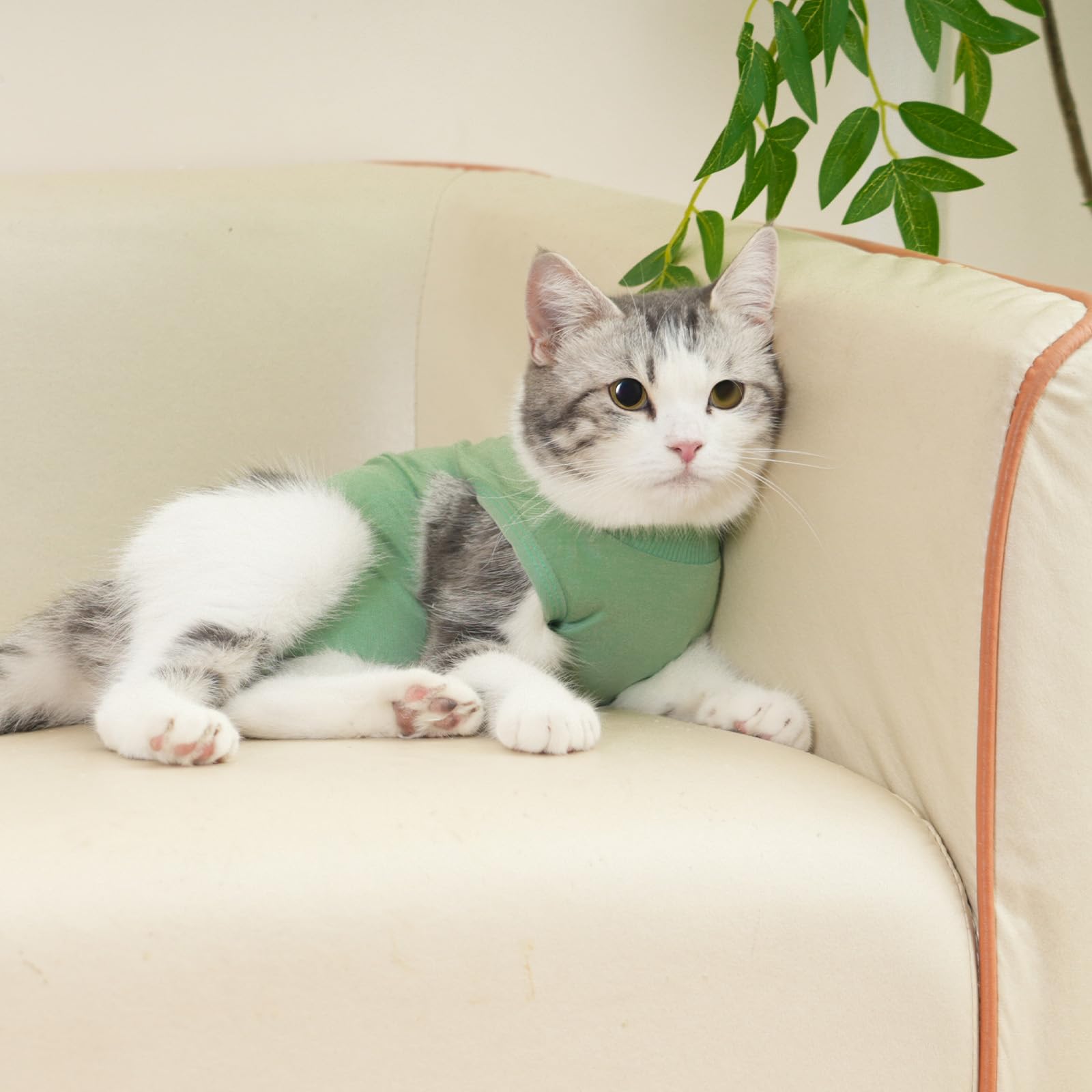 kzrfojy cat recovery-suit green small size-chart ensures snug fit and accurate recovery wear.