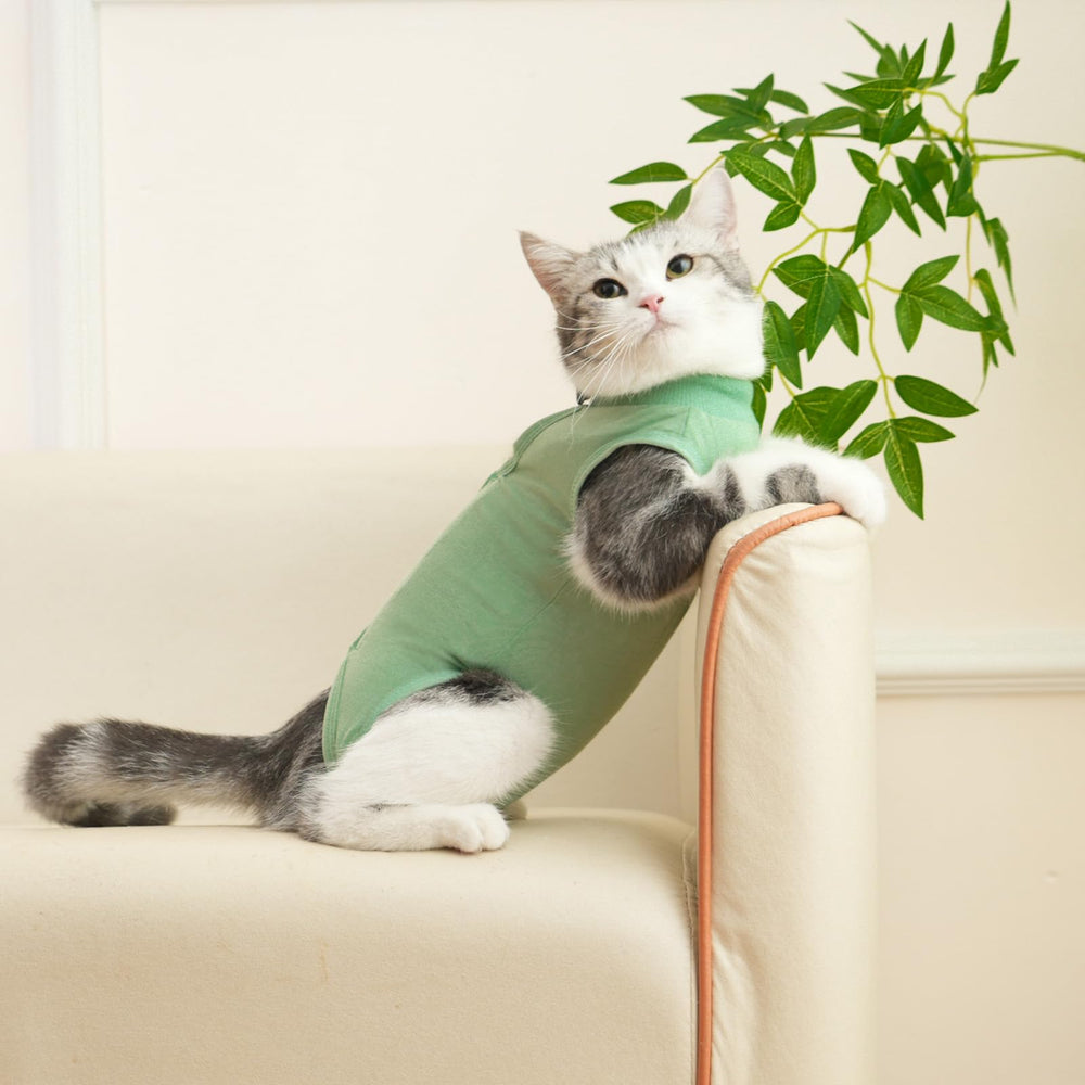kzrfojy cat recovery-suit green small soft-breathable fabric keeps cat comfortable and active.