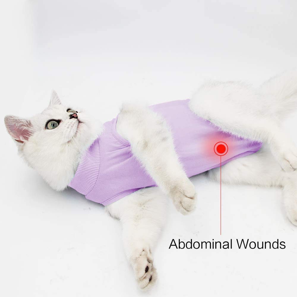 kzrfojy cat surgery recovery suit on cat after surgery providing post-op support and protection