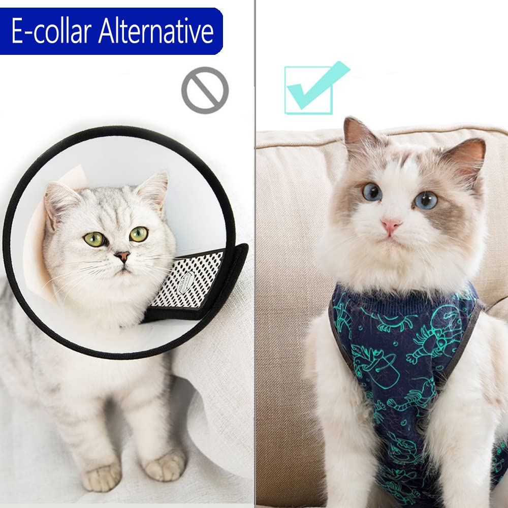 Kzrfojy diseño elástico cuello y patas: fácil de colocar y ajustar
