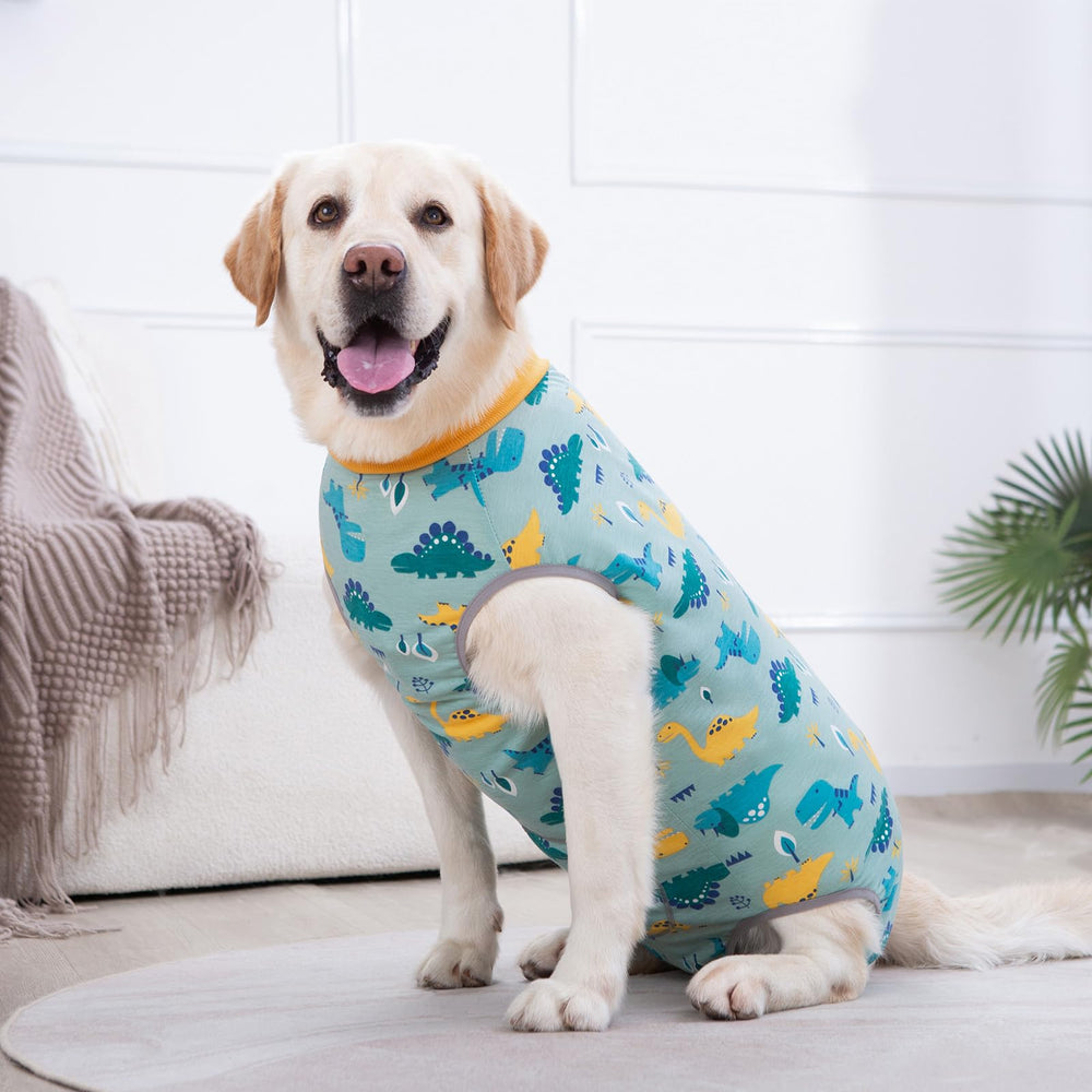 Kzrfojy suit is easy to wash and quick to dry for busy pet owners