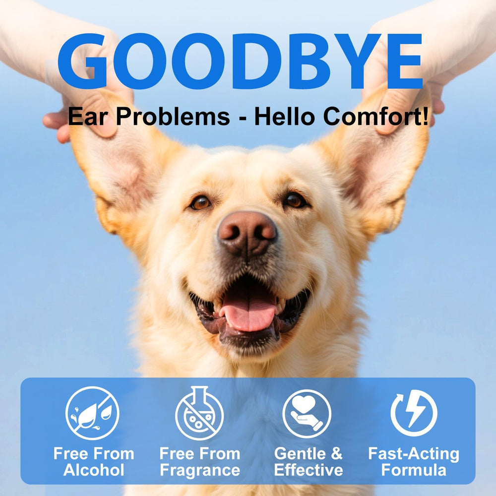 KZUO easy home ear care routine with drops