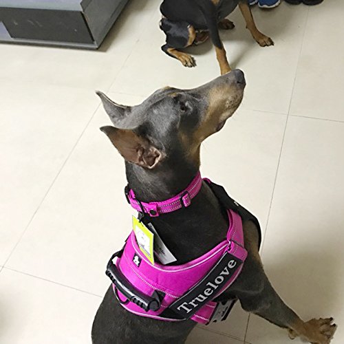 La La Pet Creation Core Reflective Dog Collar pink XS lightweight Duraflex buckle for secure fastening