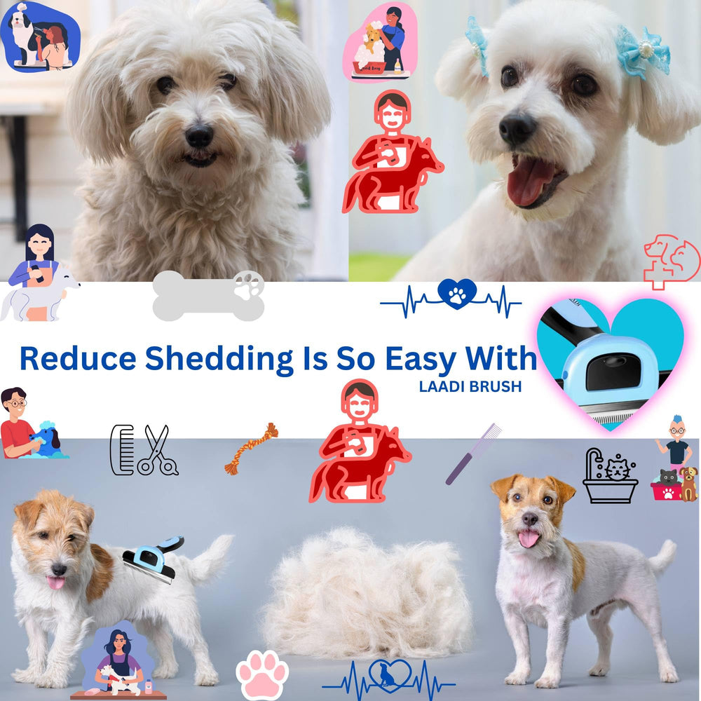 LAADI deshedding tool with stainless steel tips guards skin while removing loose fur.