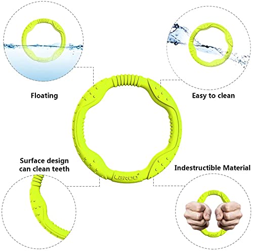 LaRoo interactive ring toy in action for throw and retrieve fun