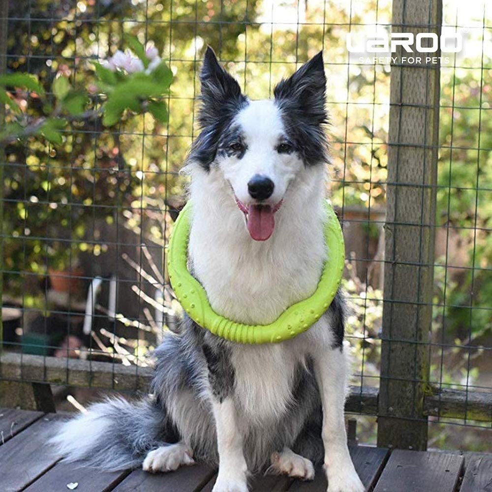 LaRoo lightweight dog toy easily picked up for quick fetch