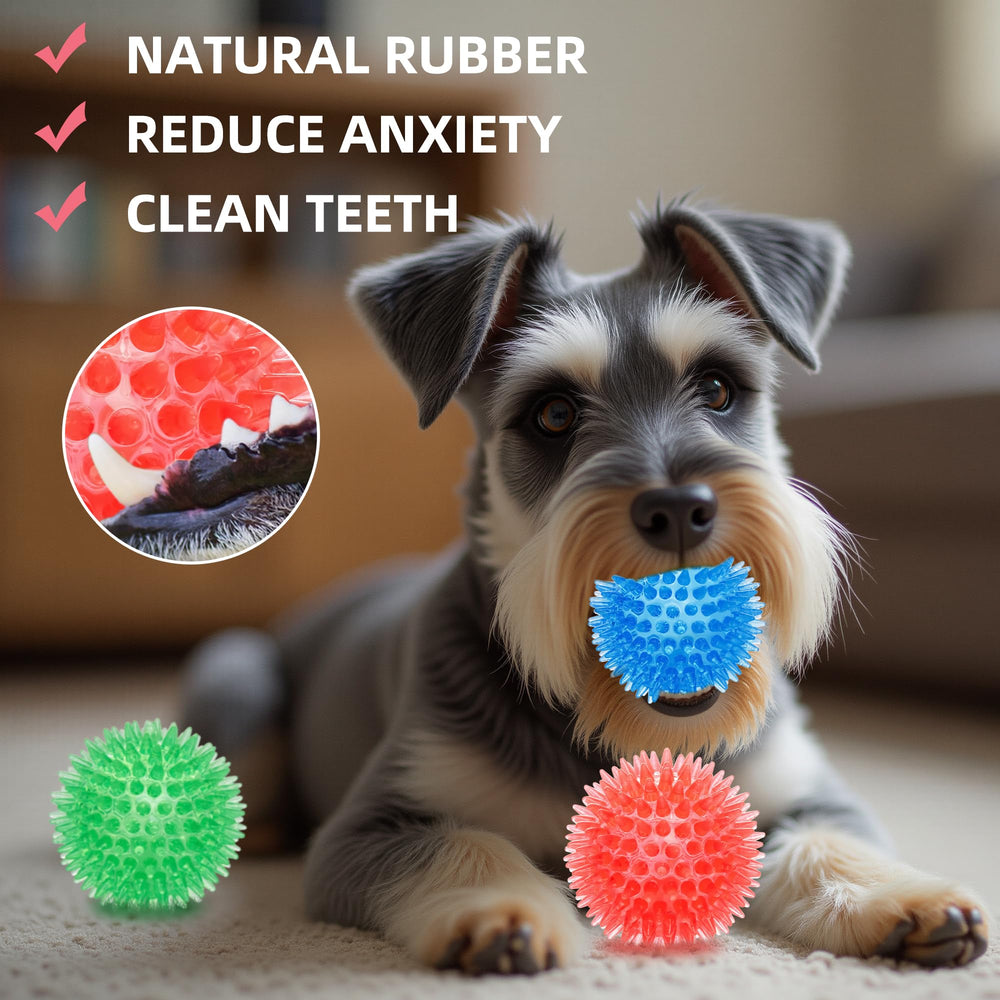 Labeol BPA-free TPR rubber material emphasizes safe play with small to medium breeds.