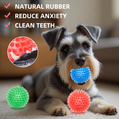 Labeol BPA-free TPR rubber material emphasizes safe play with small to medium breeds.