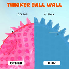 Labeol dog playing fetch outdoors demonstrates training-friendly interaction and fetch-ready design.