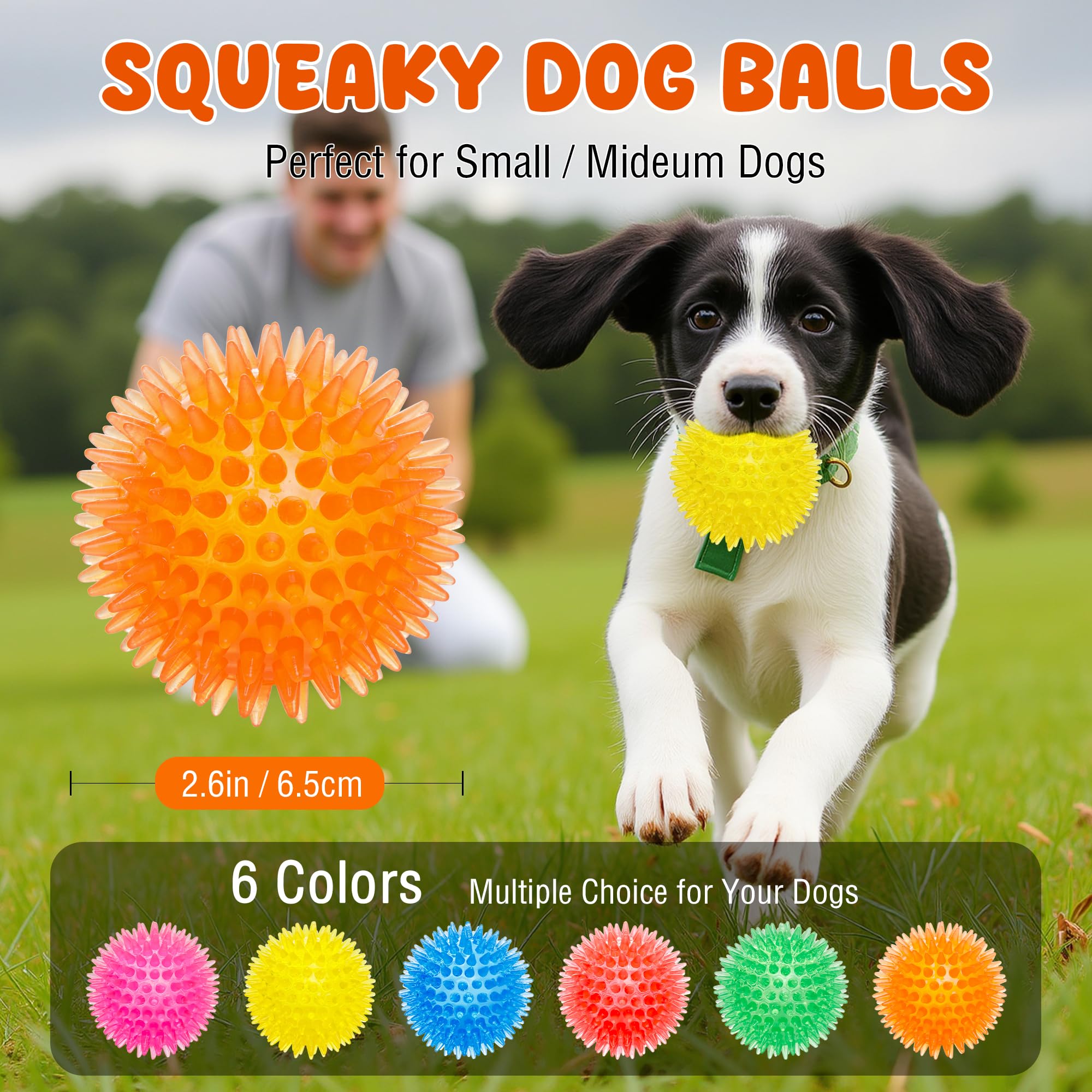 Labeol meat-flavor squeaky inside view highlights enticing chew and active engagement.