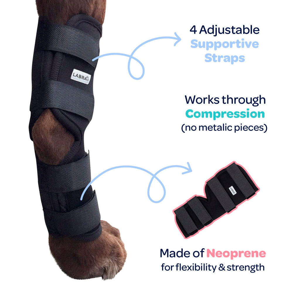 Labra hock wrap adjustable straps for a customizable, secure fit.