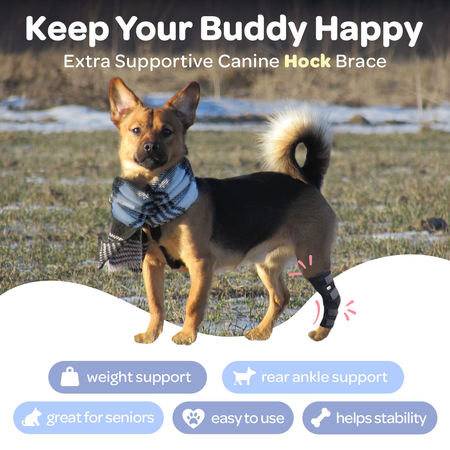 Labra hock wrap bandage and wrap application for easy recovery support.