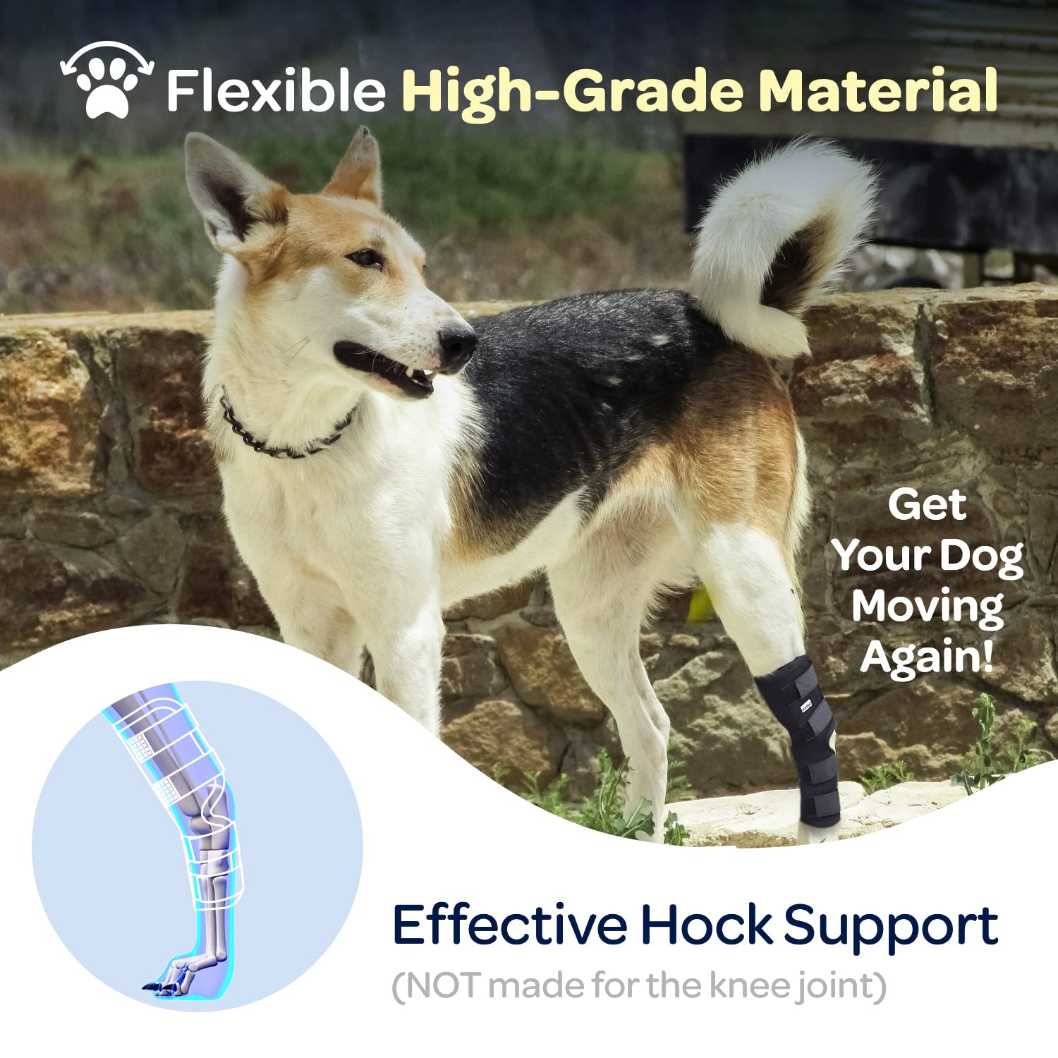Labra hock wrap protects skin and prevents irritation during rest.