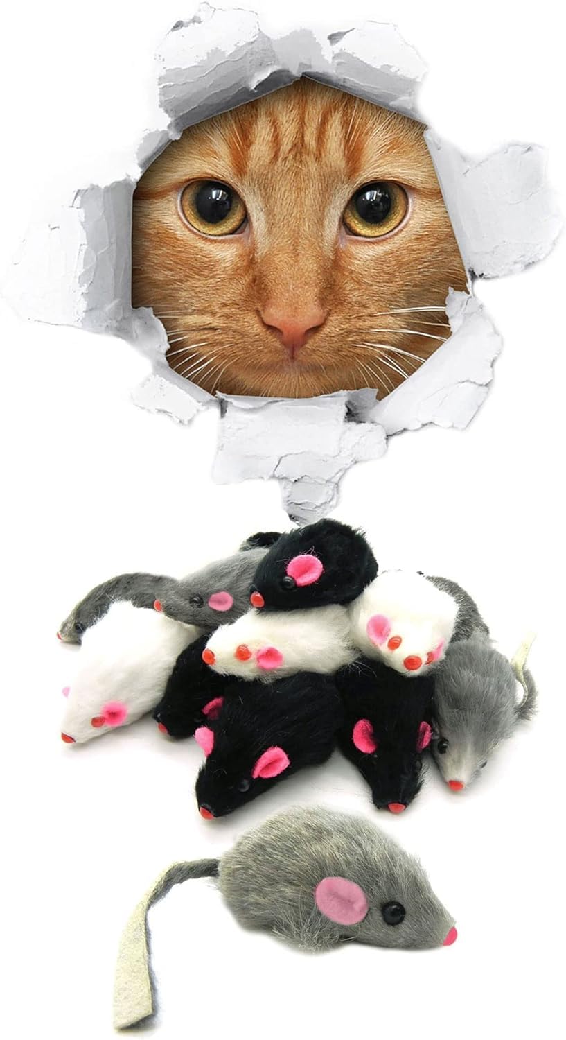 Labriciyon indoor-cat exercise toy promotes safe, active play.