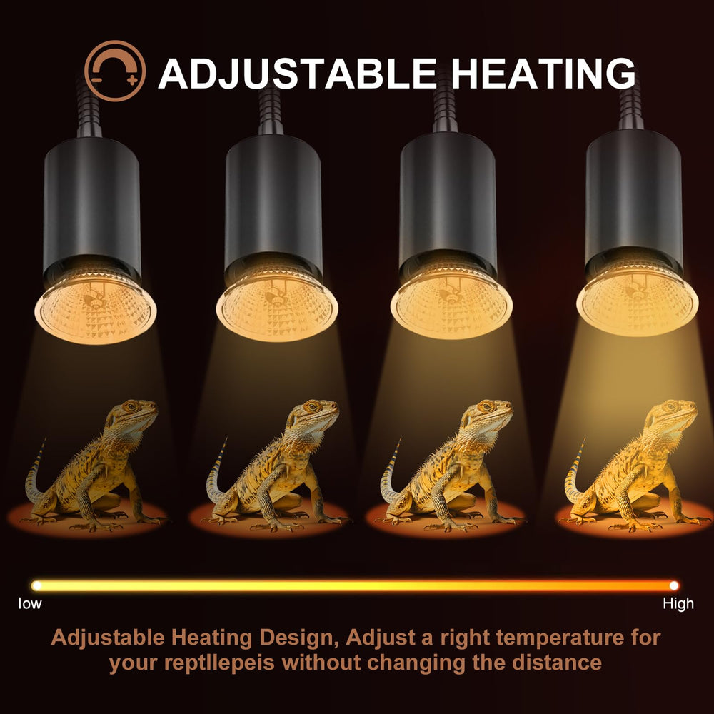 Lachesan amphibian enclosure lighting promotes activity and mood balance