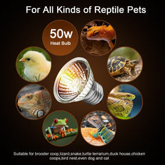 Lachesan terrarium lighting for bearded dragons and snakes enhances habitat lighting