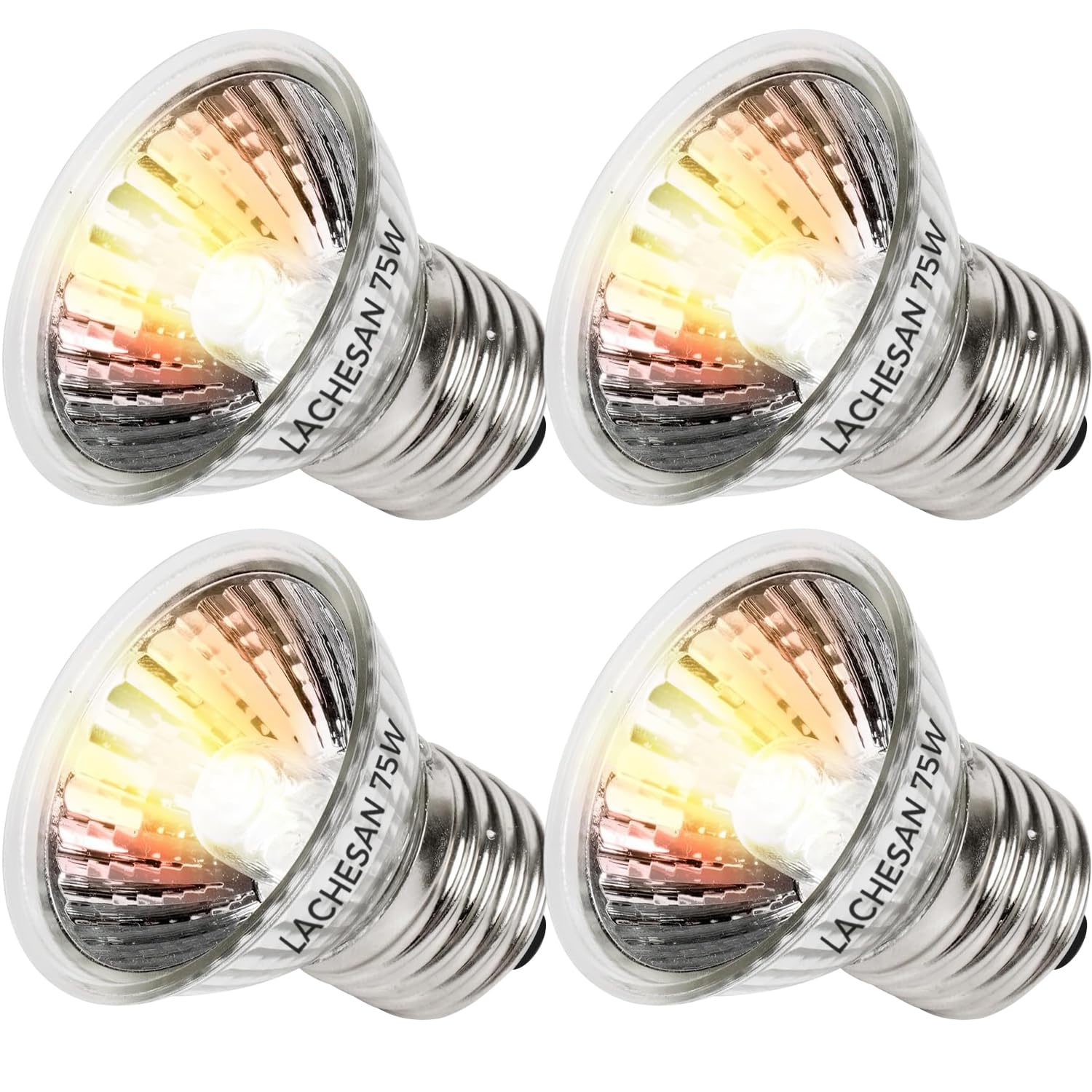 Lachesan Turtle Heat Bulb 75W UVA in fixture provides steady basking warmth.