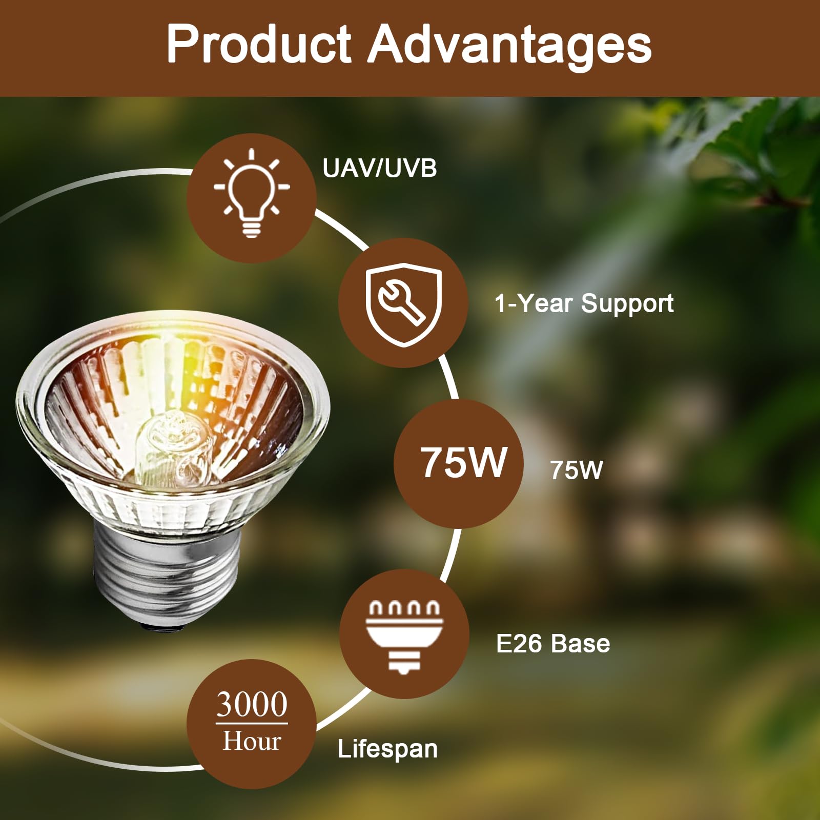 Lachesan Turtle Heat Bulb 75W UVA fits standard E26 sockets in turtle tanks.