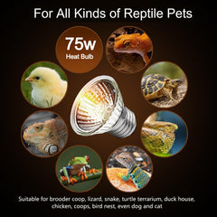 Lachesan Turtle Heat Bulb 75W UVA warm-glow supports daytime activity in terrariums.