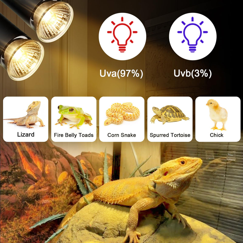 Lachesan turtle heat lamp glow over a tank creates warm basking spot