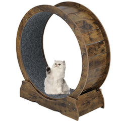 Laddawan cat exercise wheel front view highlighting sturdy indoor running for cats.