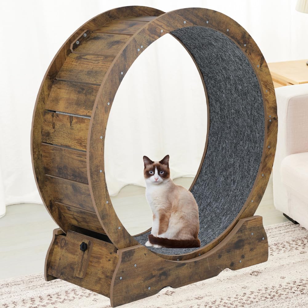 Laddawan cat exercise wheel side view showing stability and roomy wheel for larger cats.