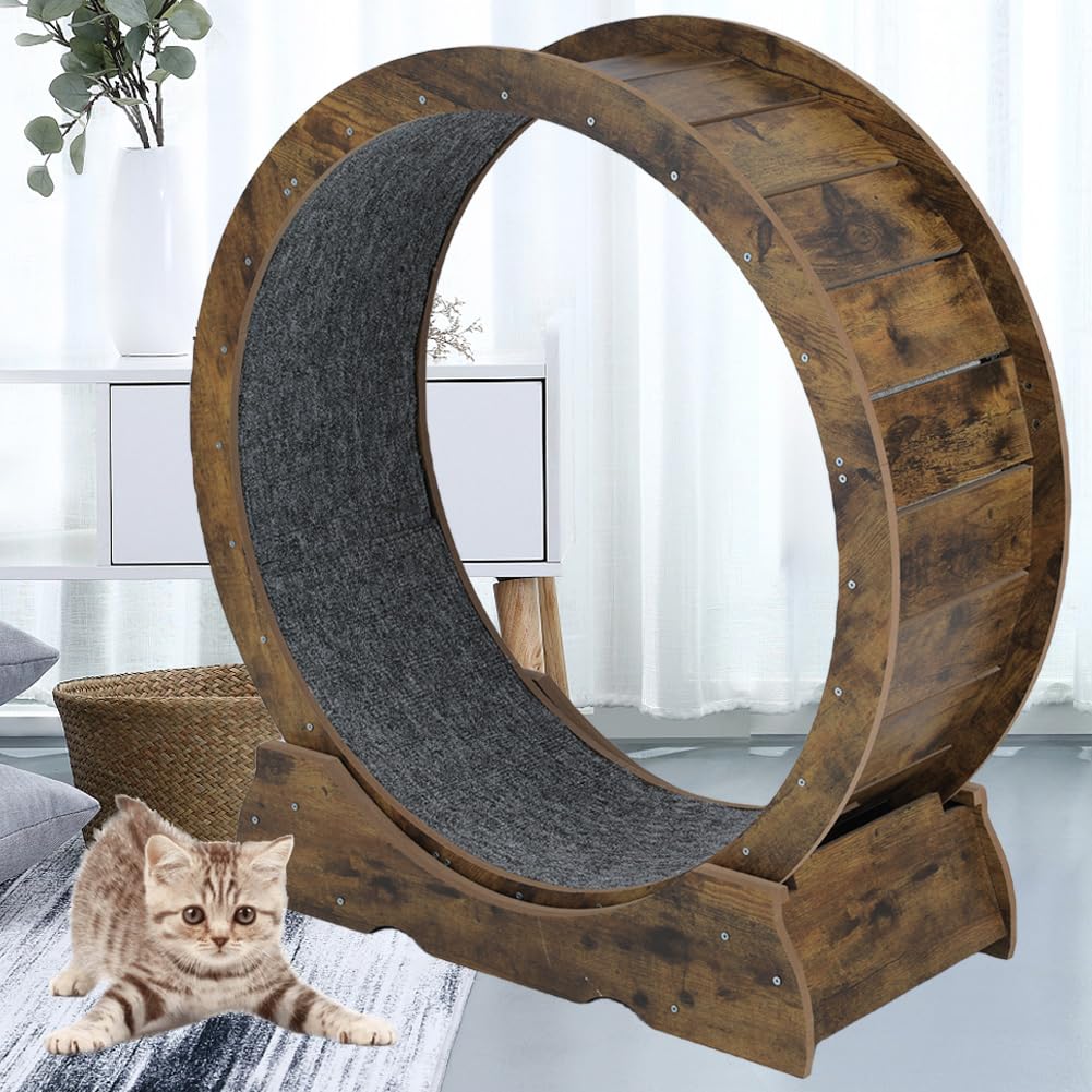 Laddawan cat exercise wheel size range displays 31.4 and 35.4 inch diameters for all cats.