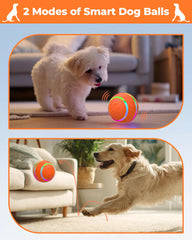 LADFAR interactive rolling dog ball in irregular rolling mode on hard floors for fetch.