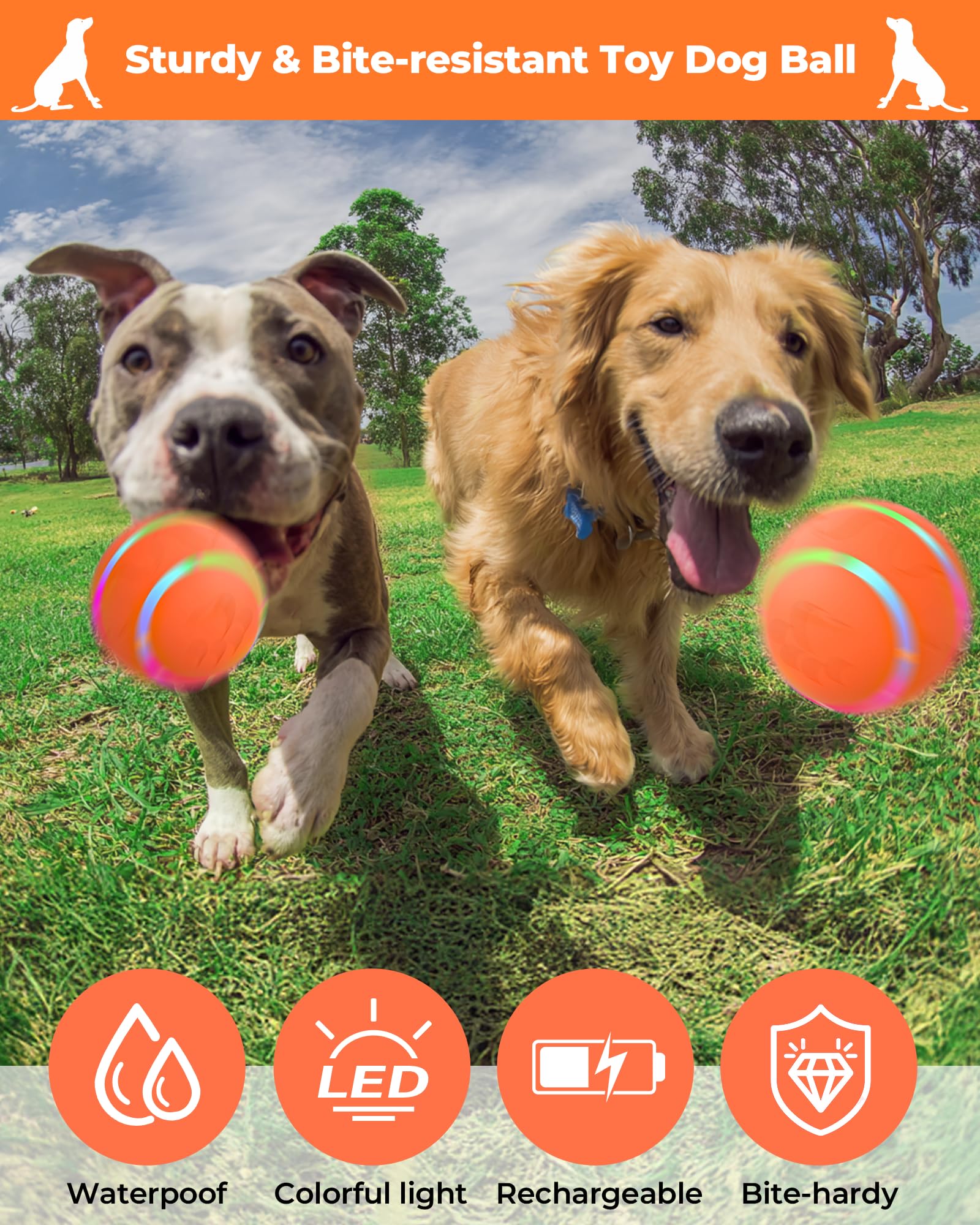 LADFAR USB charging view shows easy recharge for longer play sessions.