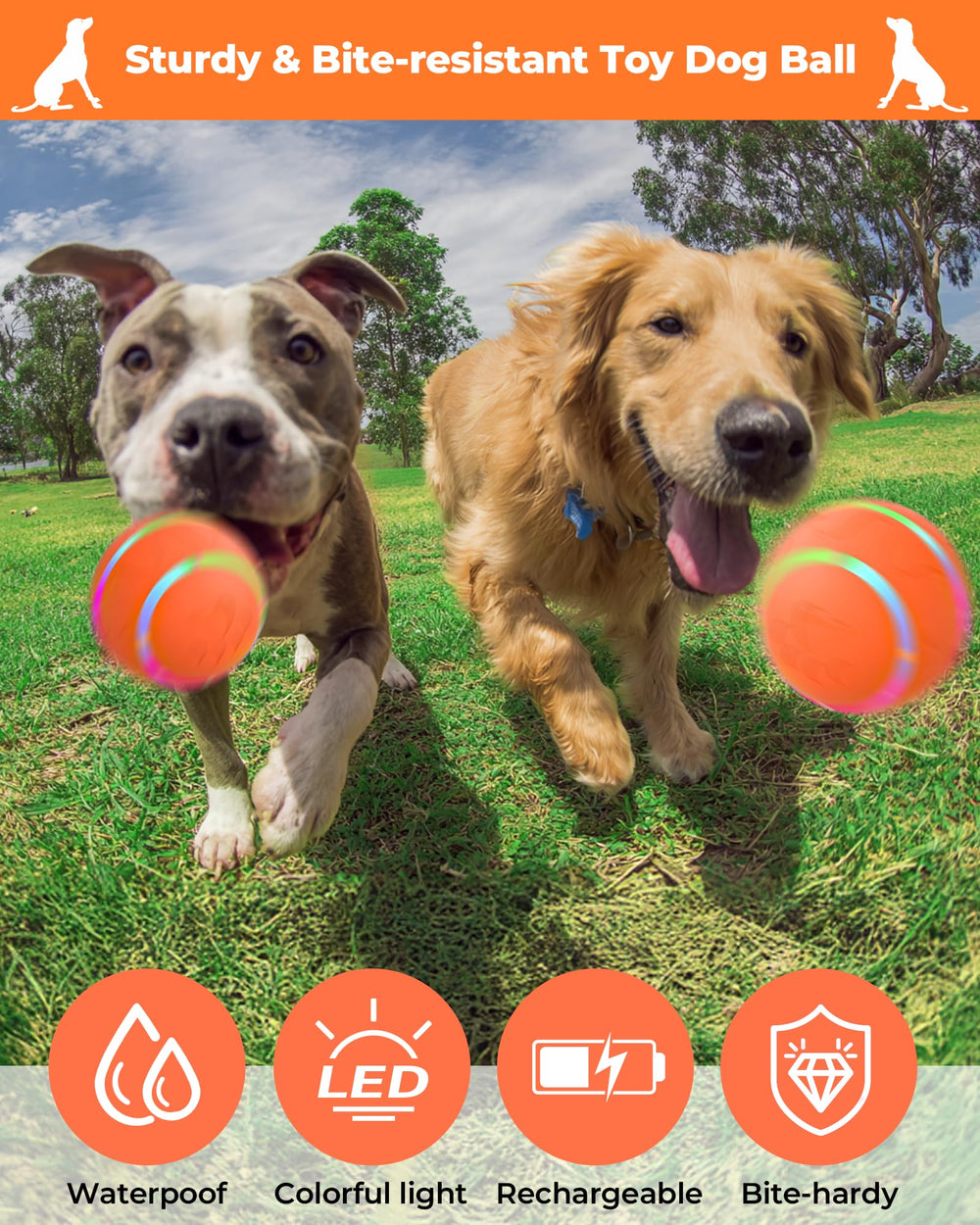 LADFAR USB charging view shows easy recharge for longer play sessions.