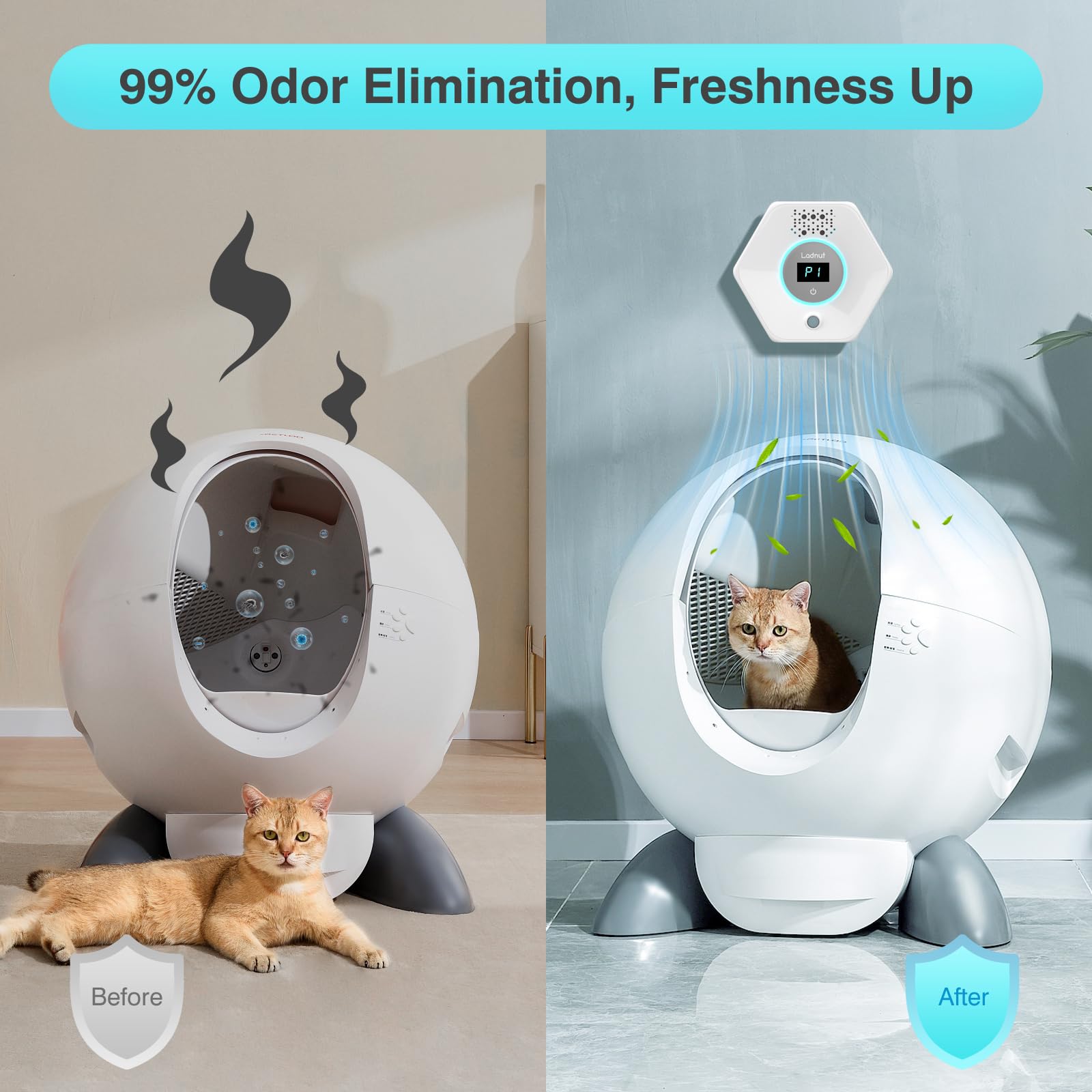 Ladnut cat safe ozone indicator demonstrates safe low ozone levels for pets