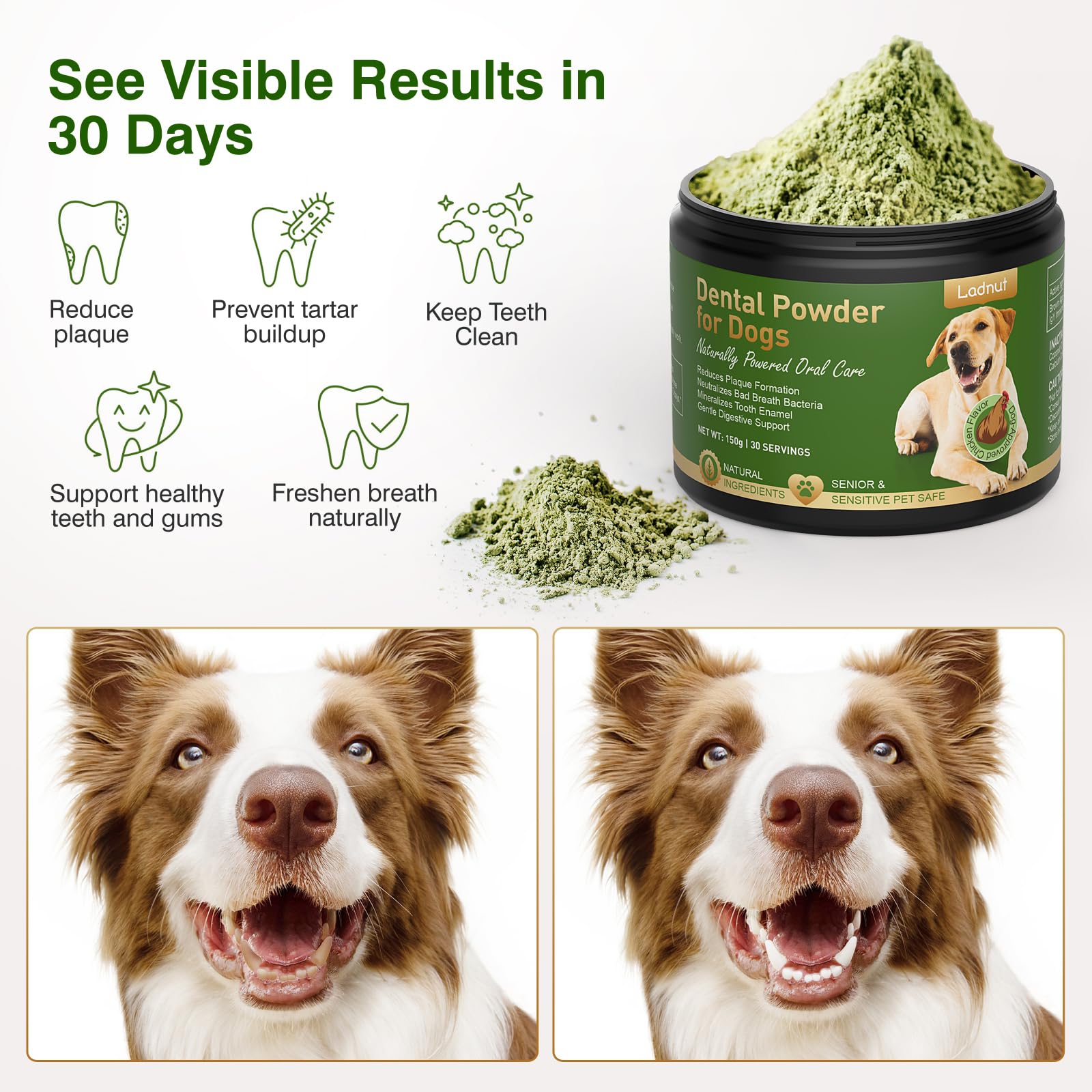 Ladnut powder on dog food helps reduce plaque without brushing.