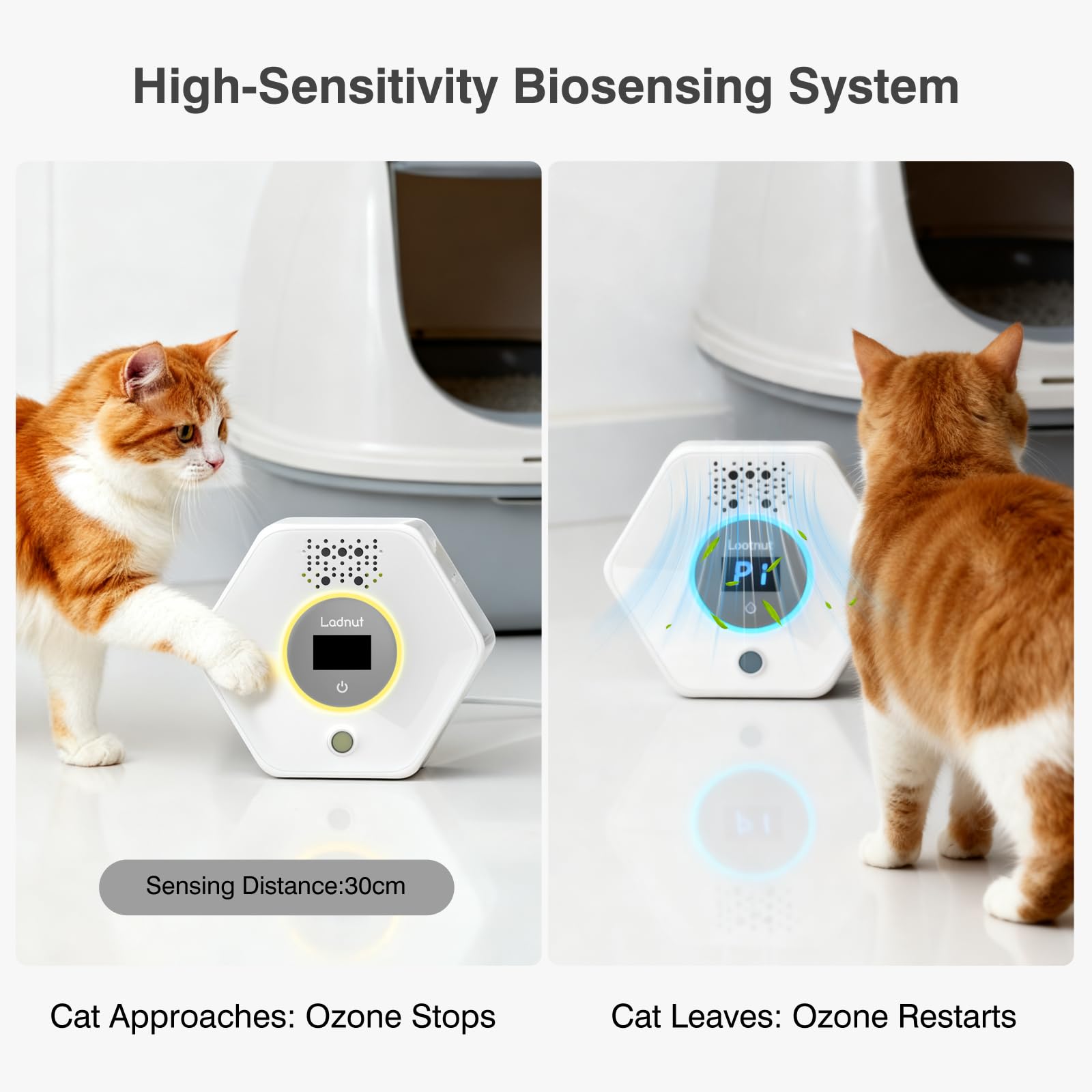 Ladnut negative ion action emphasizes dust clumping and fresher air