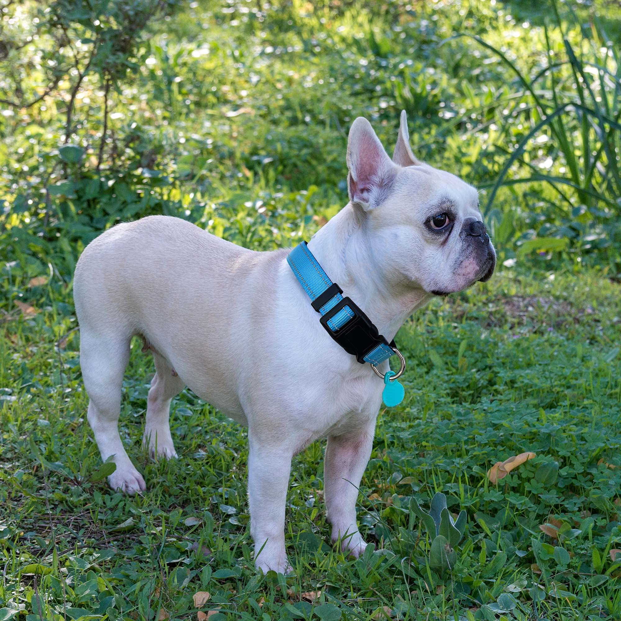 Ladoogo includes a free 5ft leash with foam handle for convenience.