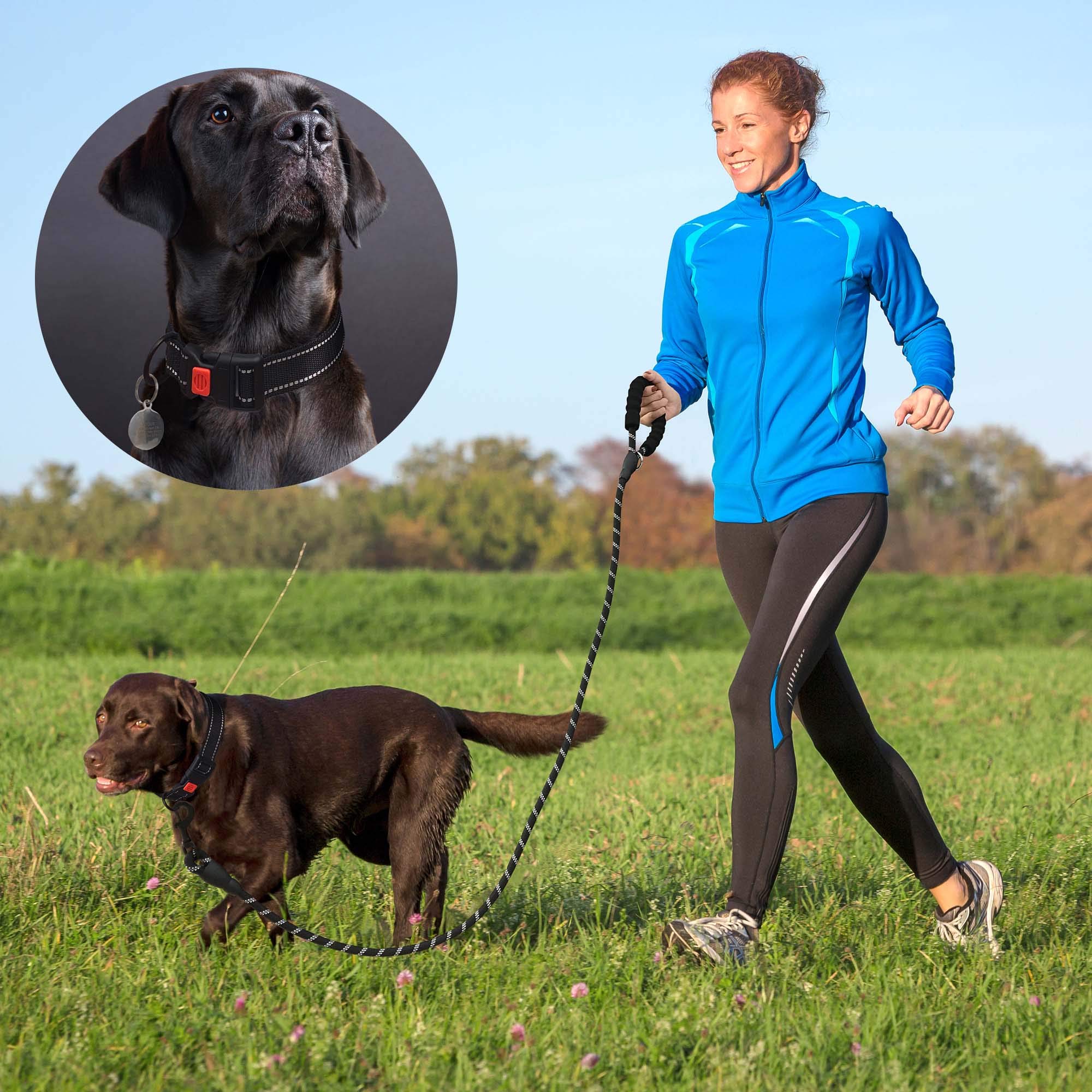 Ladoogo included reflective collar adds visibility and a secure fit
