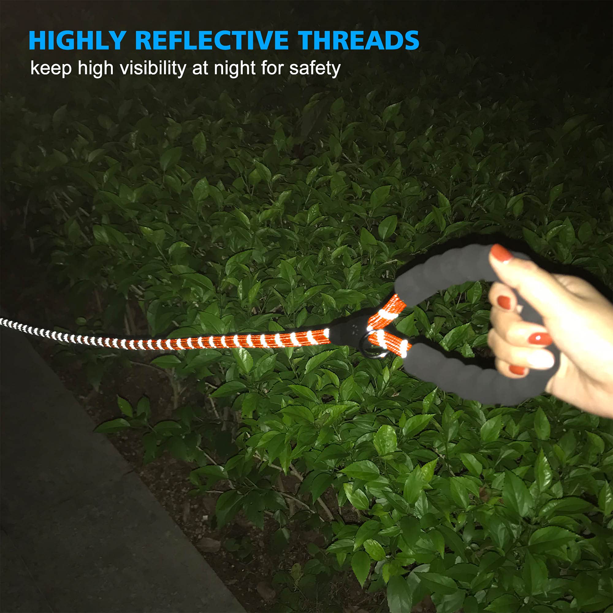 Ladoogo leash with foam handle complements the collar for comfortable walks.