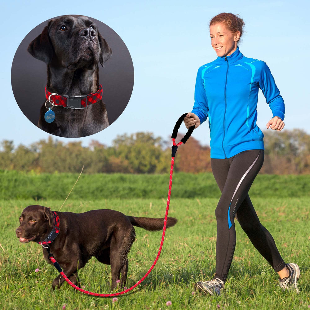 Ladoogo leash-included 5ft leash with foam handle for comfortable, tangle-free walks.