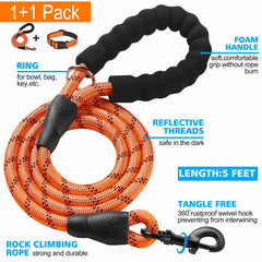 Ladoogo orange collar leash pack shows bold color and included leash for quick walks.