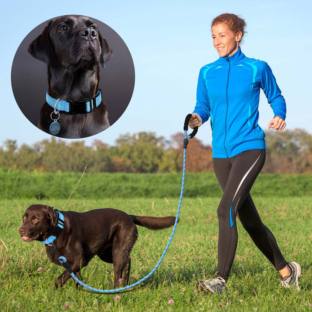 Ladoogo reflective threads enhance night-time visibility during evening strolls.