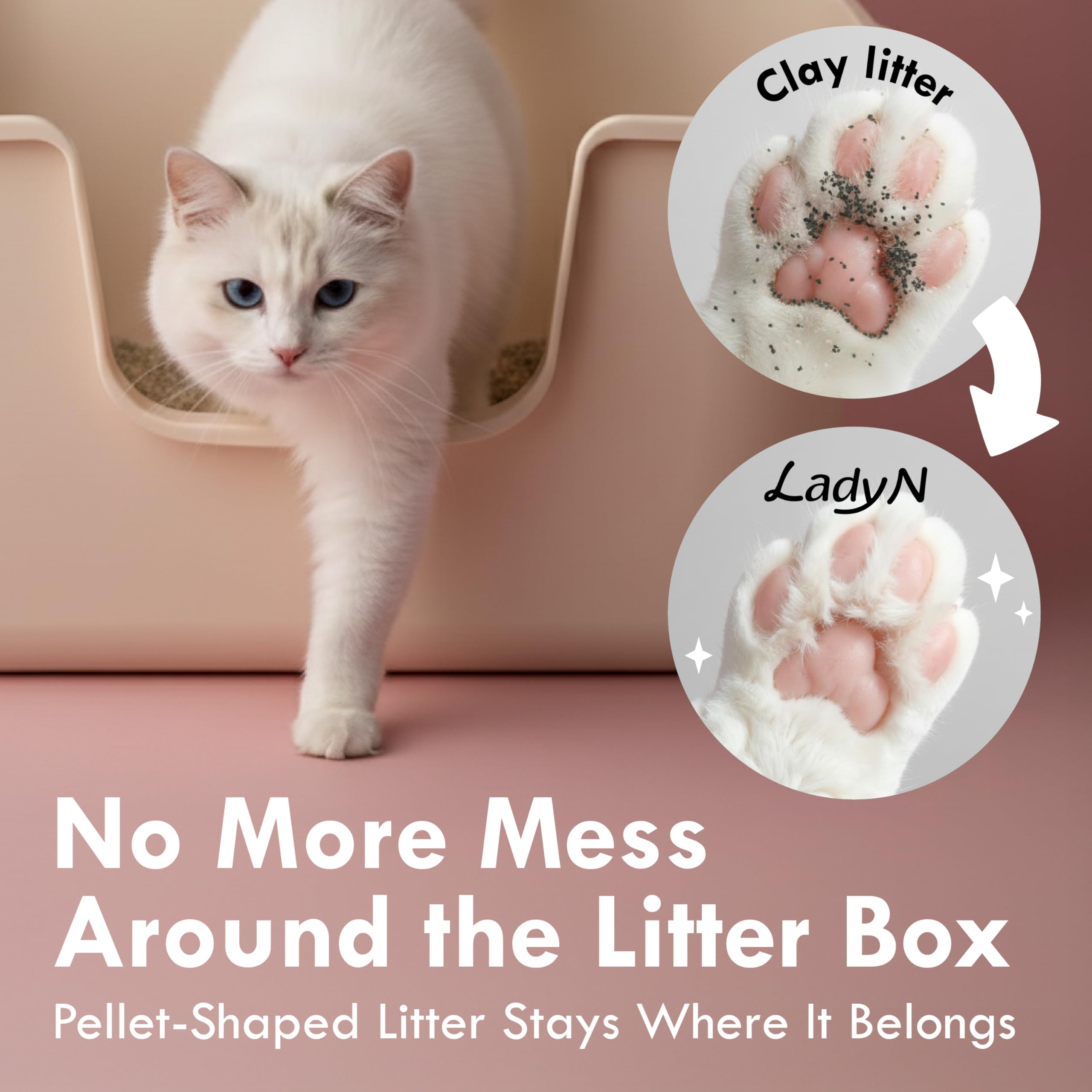 Lady N Cat Attract Tofu Litter promotes multi-cat harmony around the box